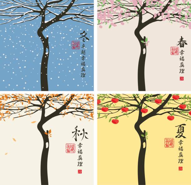 Practice Quiz 34 🌤 Seasons