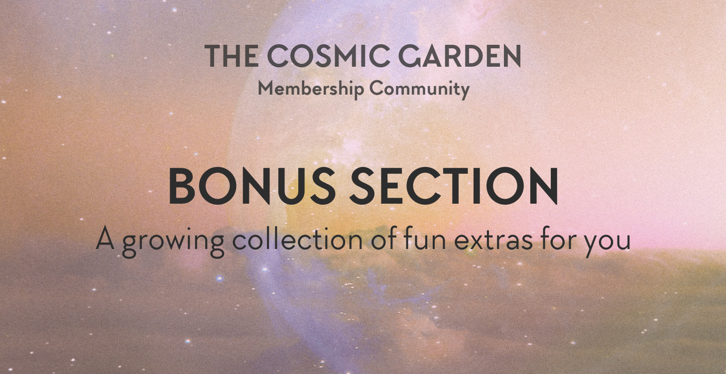 Bonus Section