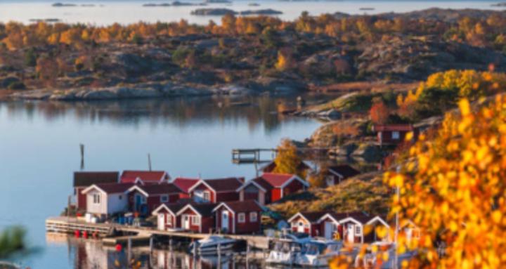 Learn Swedish Language