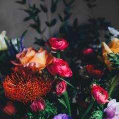 Nusrat M.