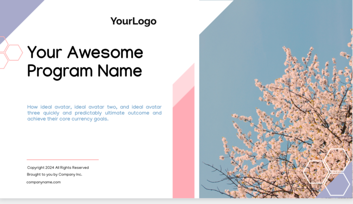 New Course & Lead Magnet Themes ASSETS LAUNCH ALERT