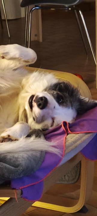 Manon Delvingt Boucher