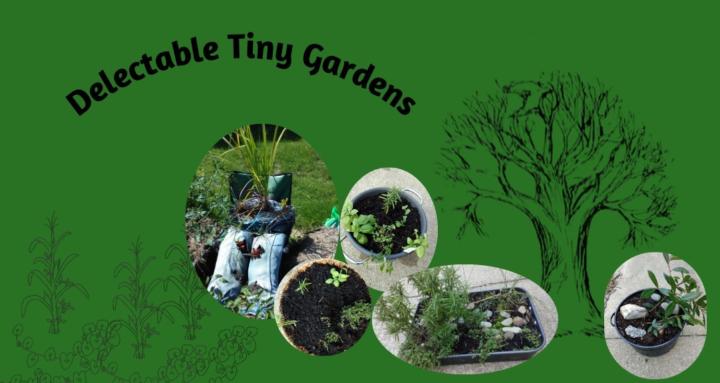 Delectable Tiny Gardens