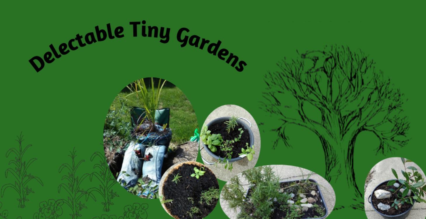 Gardening For Ability