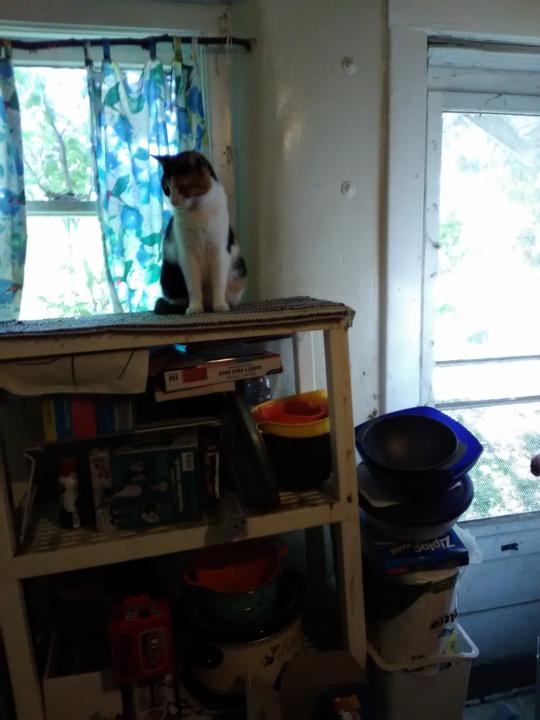 Creating Spaces