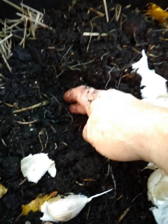 Cleaning Up and Moving Forward