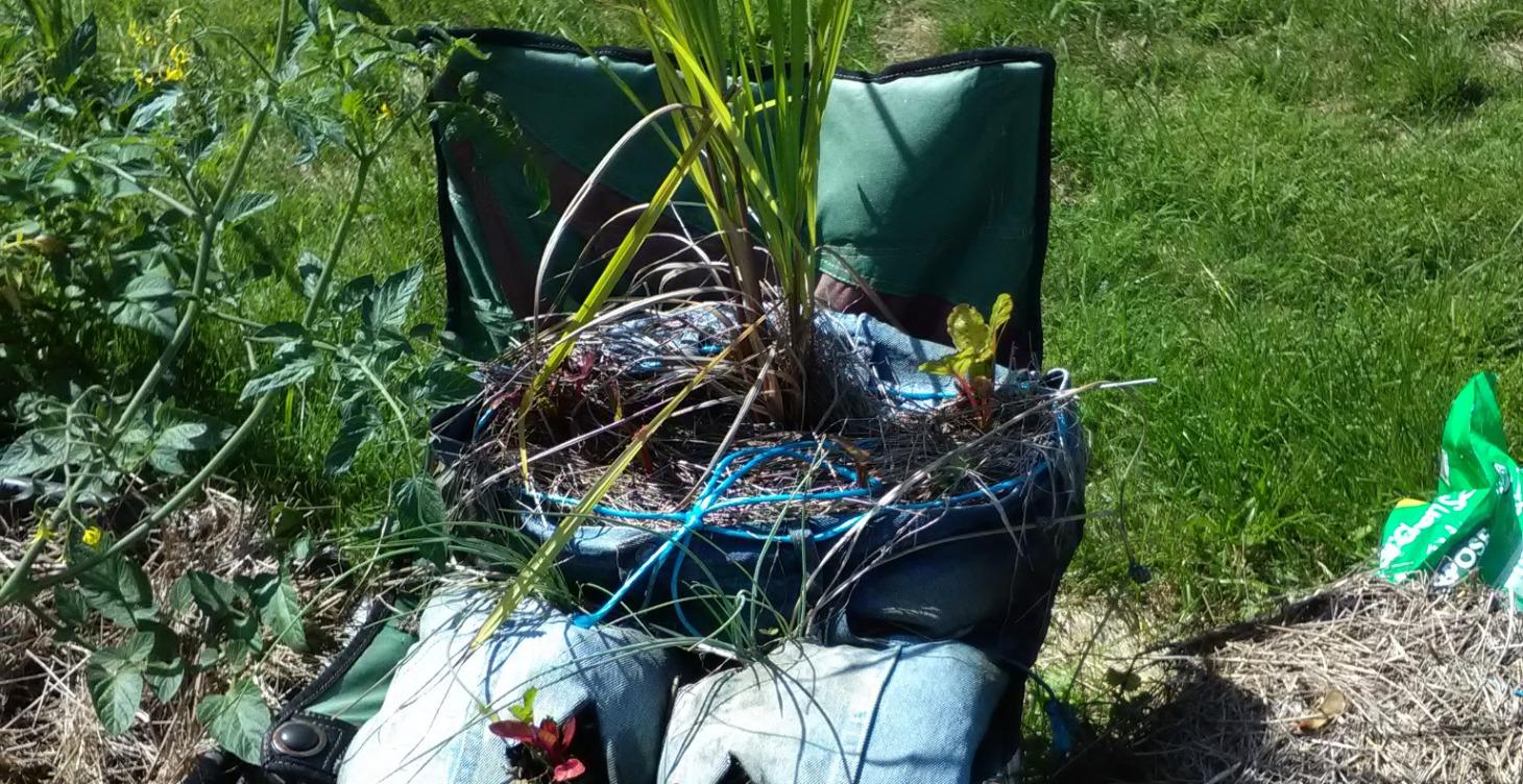 Garden Planner and Design Workshop