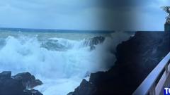 Maria Maddalena Vaccaro