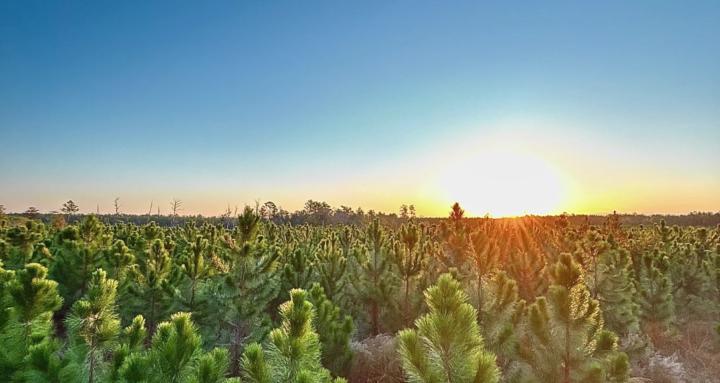 Bottomland Hunting Academy