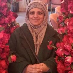 Zaeda Gul