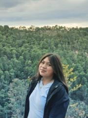 Lesly Lesly