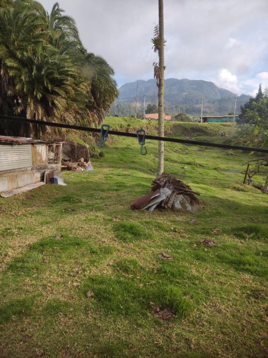 Natalia Astrid Beltrán Guzmán