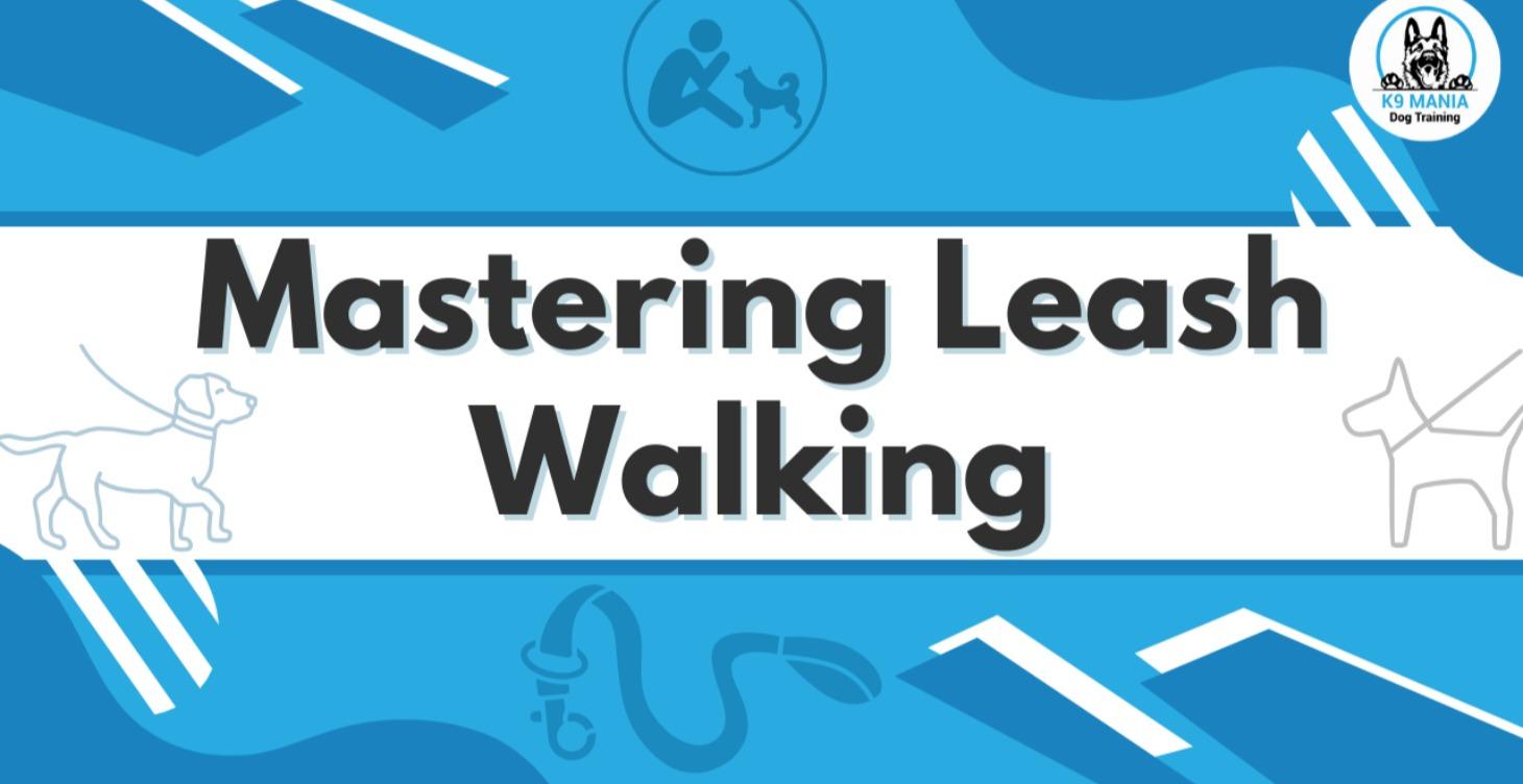 Mastering Leash Walking