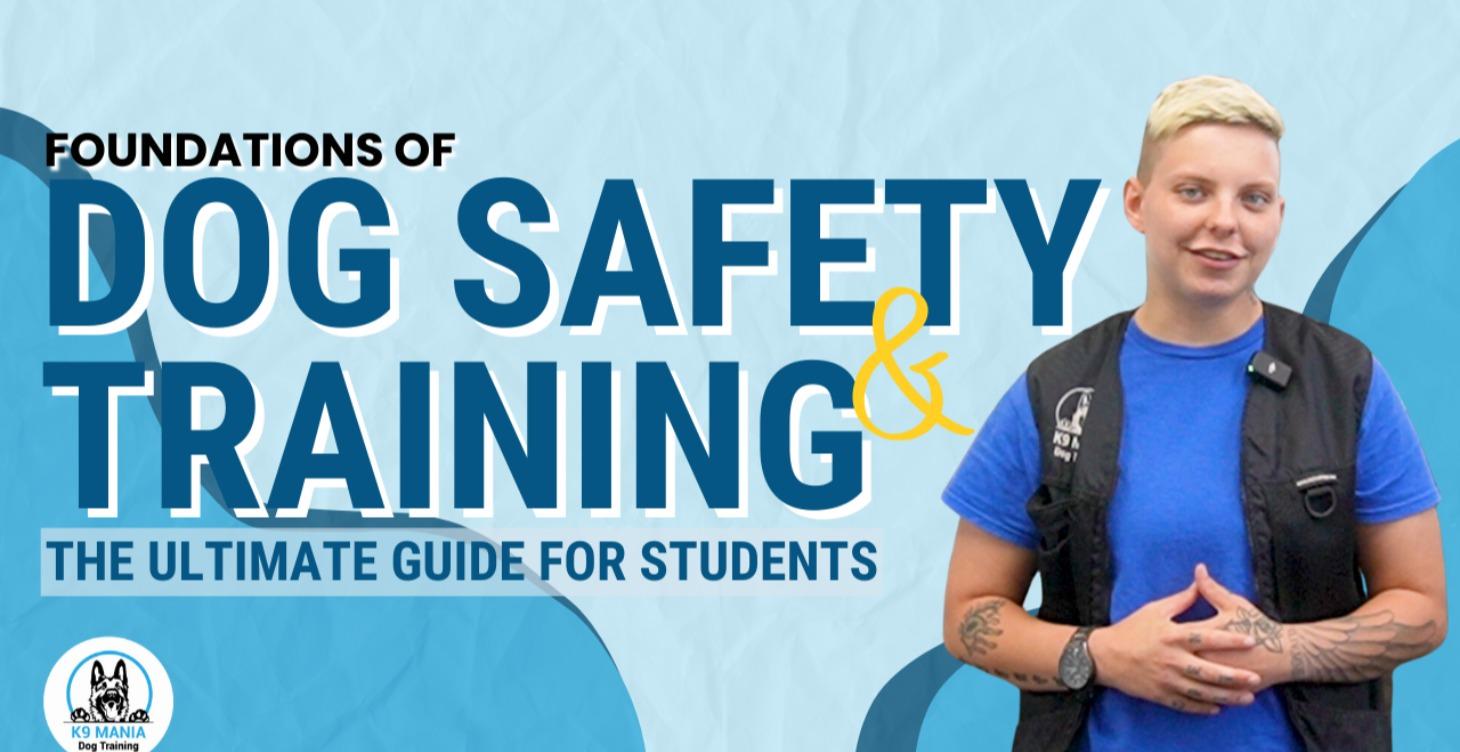 Foundations of Dog Safety and Training