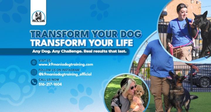 K9 Mania Dog Training