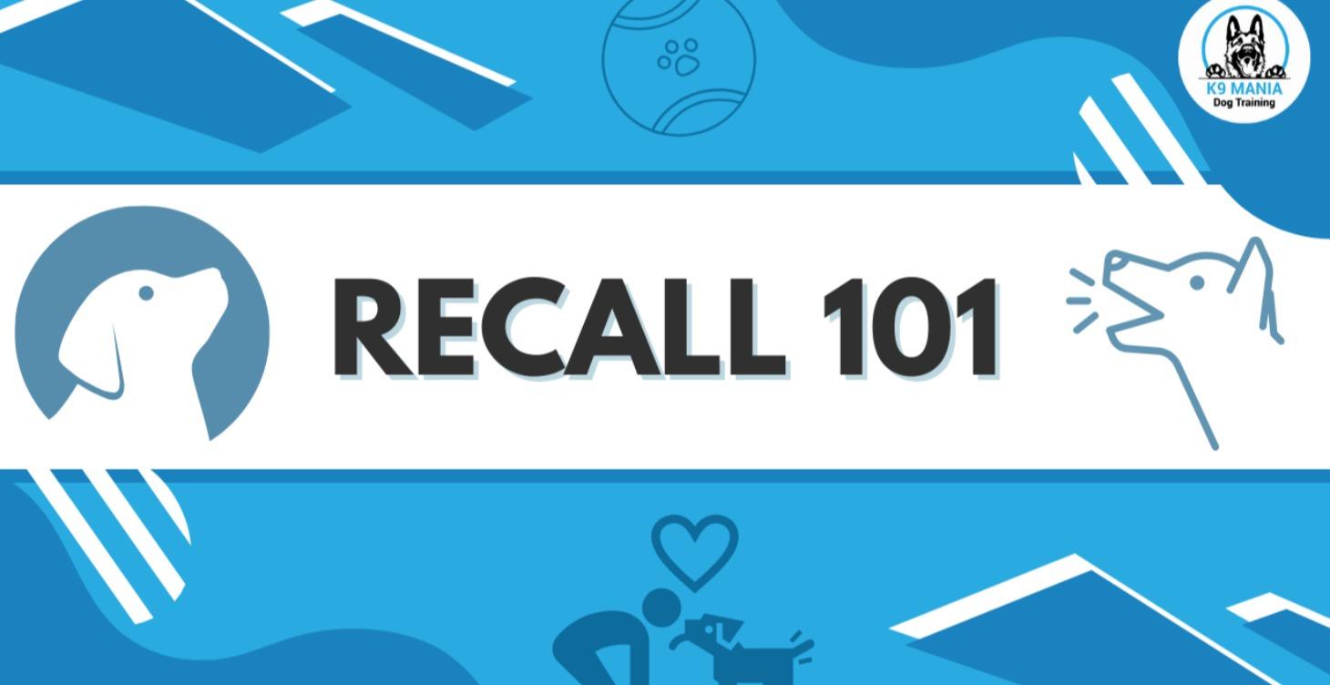Recall 101