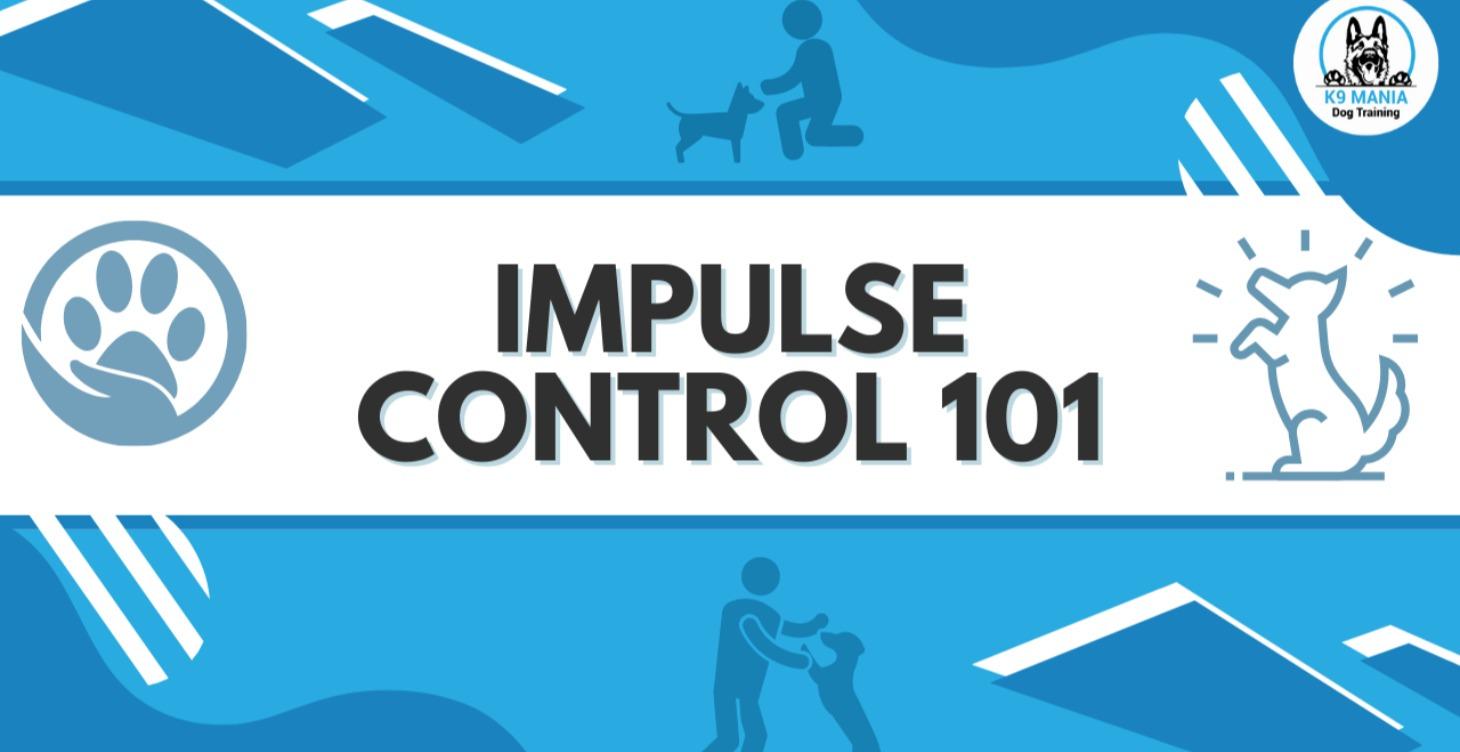 Impulse Control 101