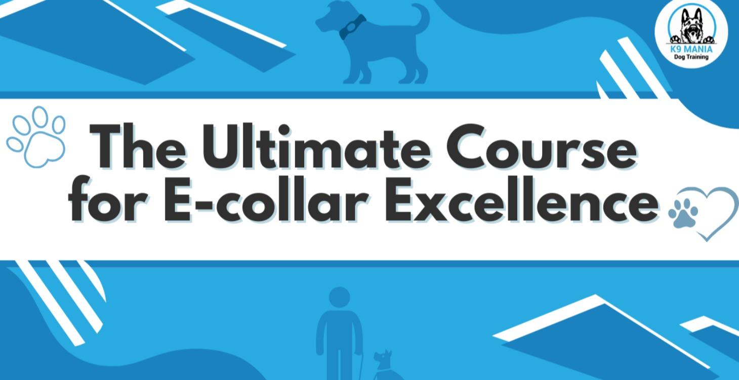 The Ultimate Course for E-collar Excellence