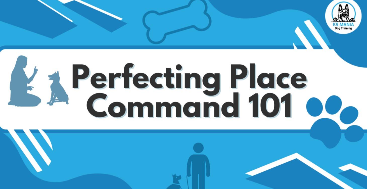Perfecting Place Command 101