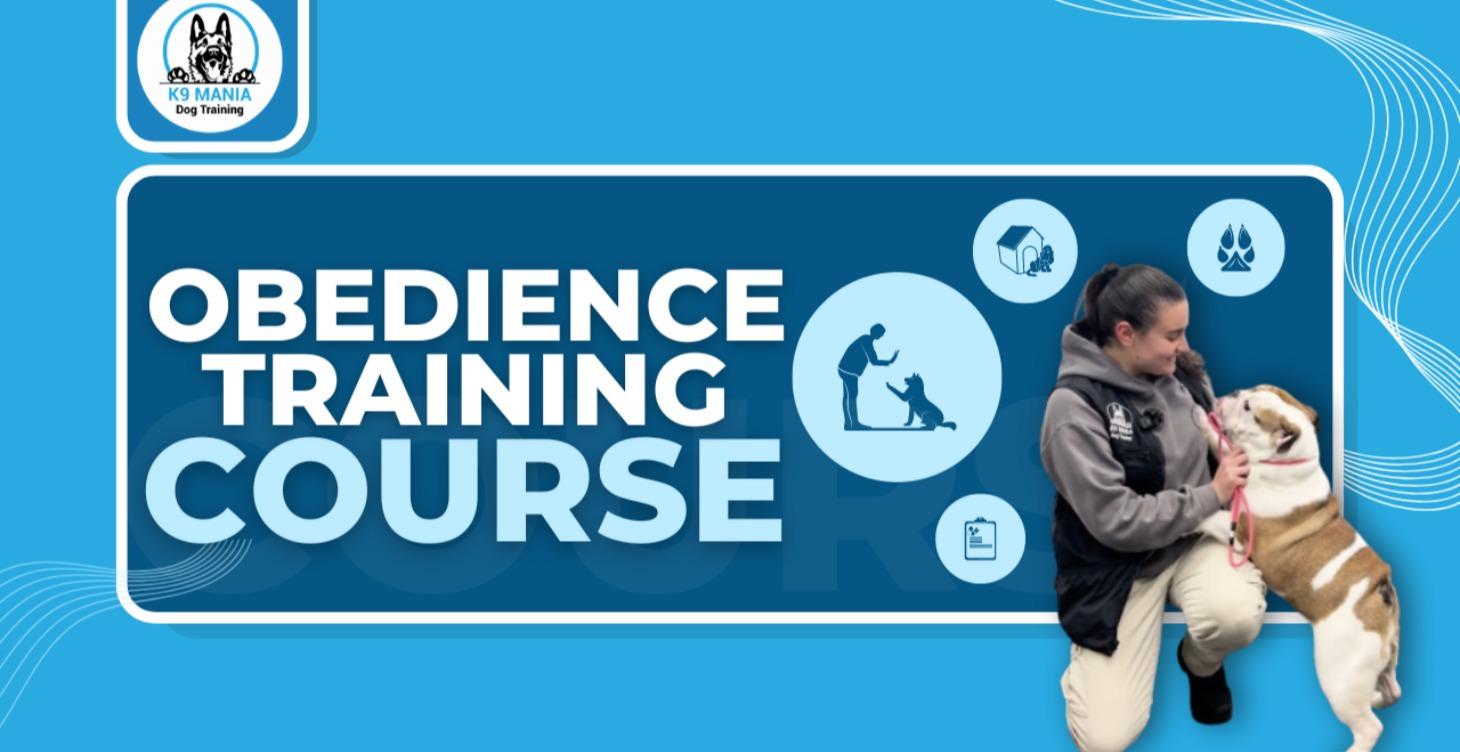 Obedience Training Course