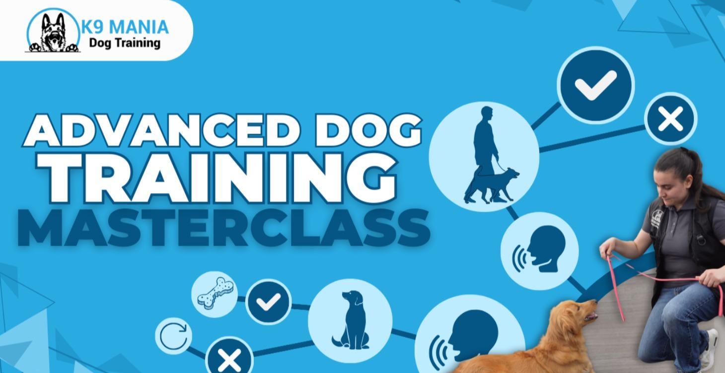 Advanced Dog Training Masterclass