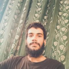 Ammar Zia