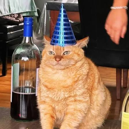 When is your birthday?