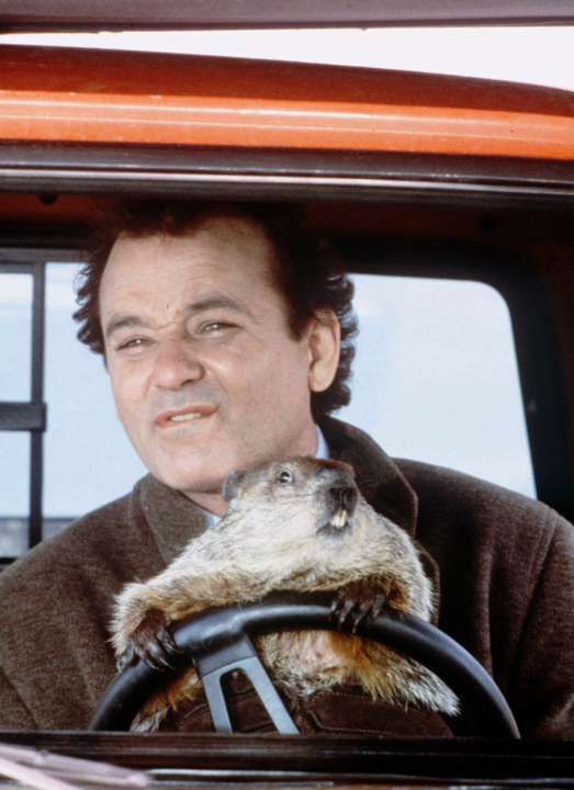 [Small Win Saturdays] What's yours for this week?