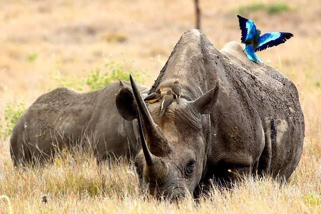 Do you have an offer that sold to your list... but not to affiliates?