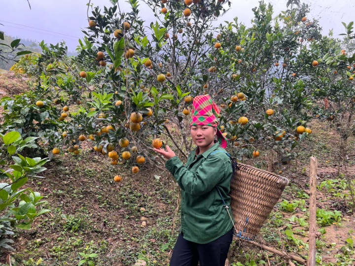 Starter Pack part 4: Monetizing your list