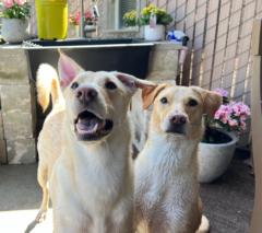 Jeff and Lanie Cooper