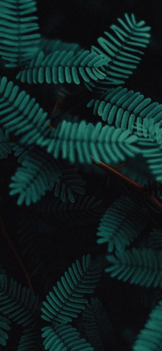 Sanzharbek Raiymberdiev