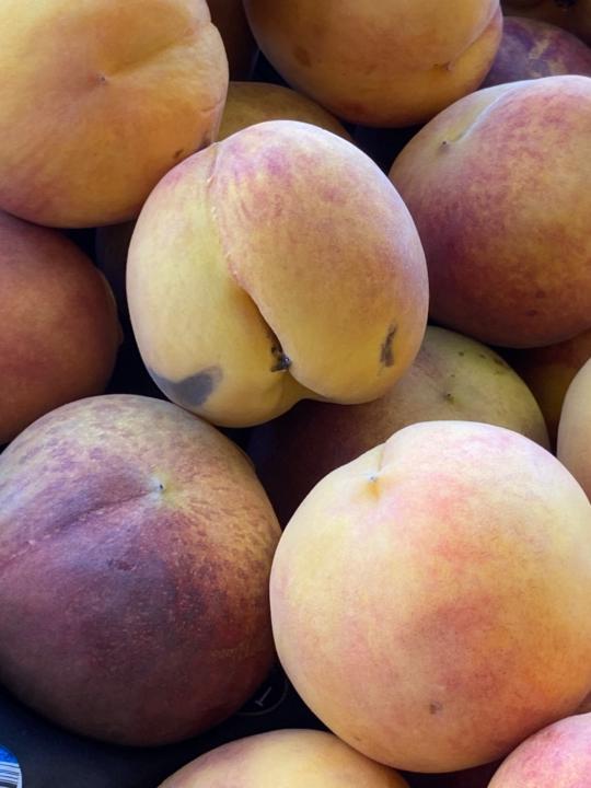 Chantelle Khmelevski