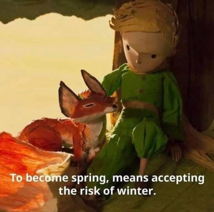 Let's Take Quantum Action to see Outer Alignment!