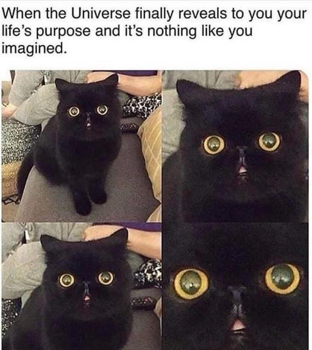 What layers are you shedding this season? Check out my courses for real, raw healing for the dreamers and doers, the healers and artists, the entrepreneurs and the small creators! 