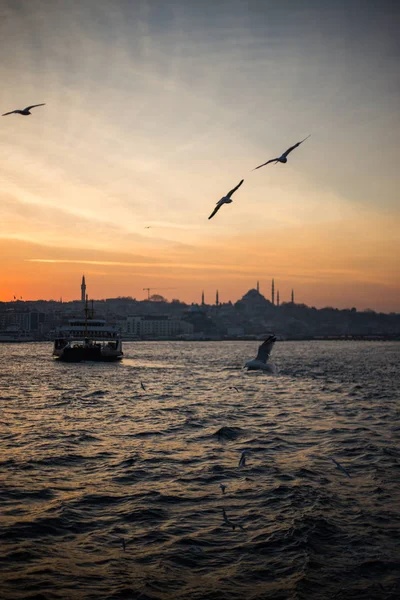 Cihan Sezer