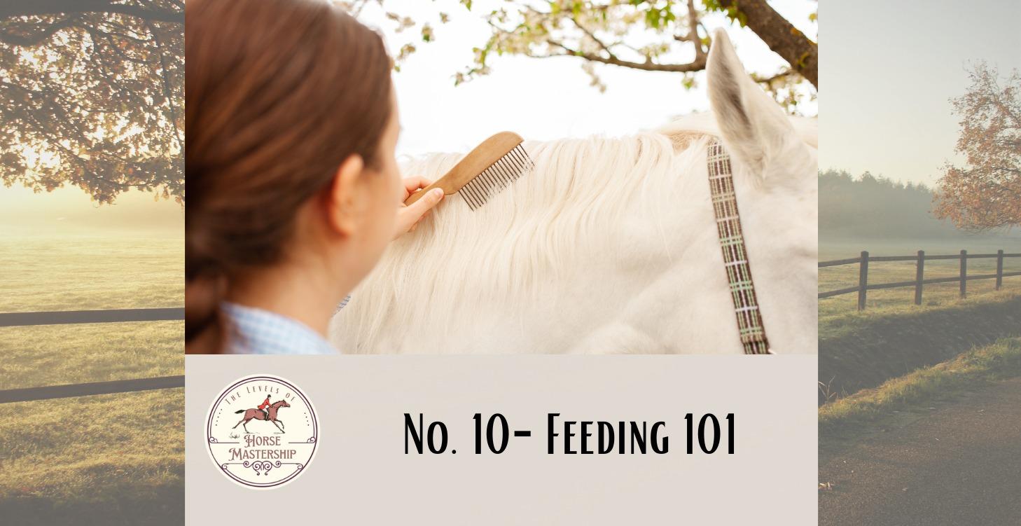No. 10- Feeding 101