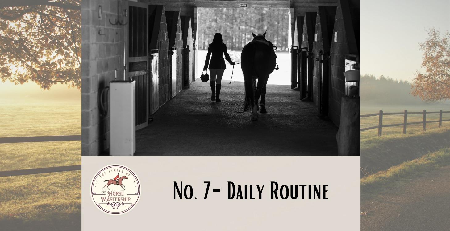 No. 7- Daily Routine and Safety