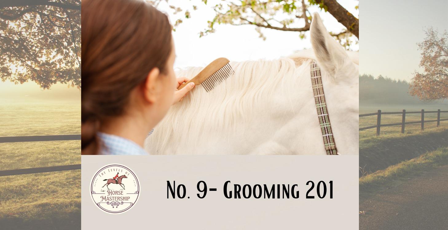No. 9- Grooming 201: Mane and Tail Care