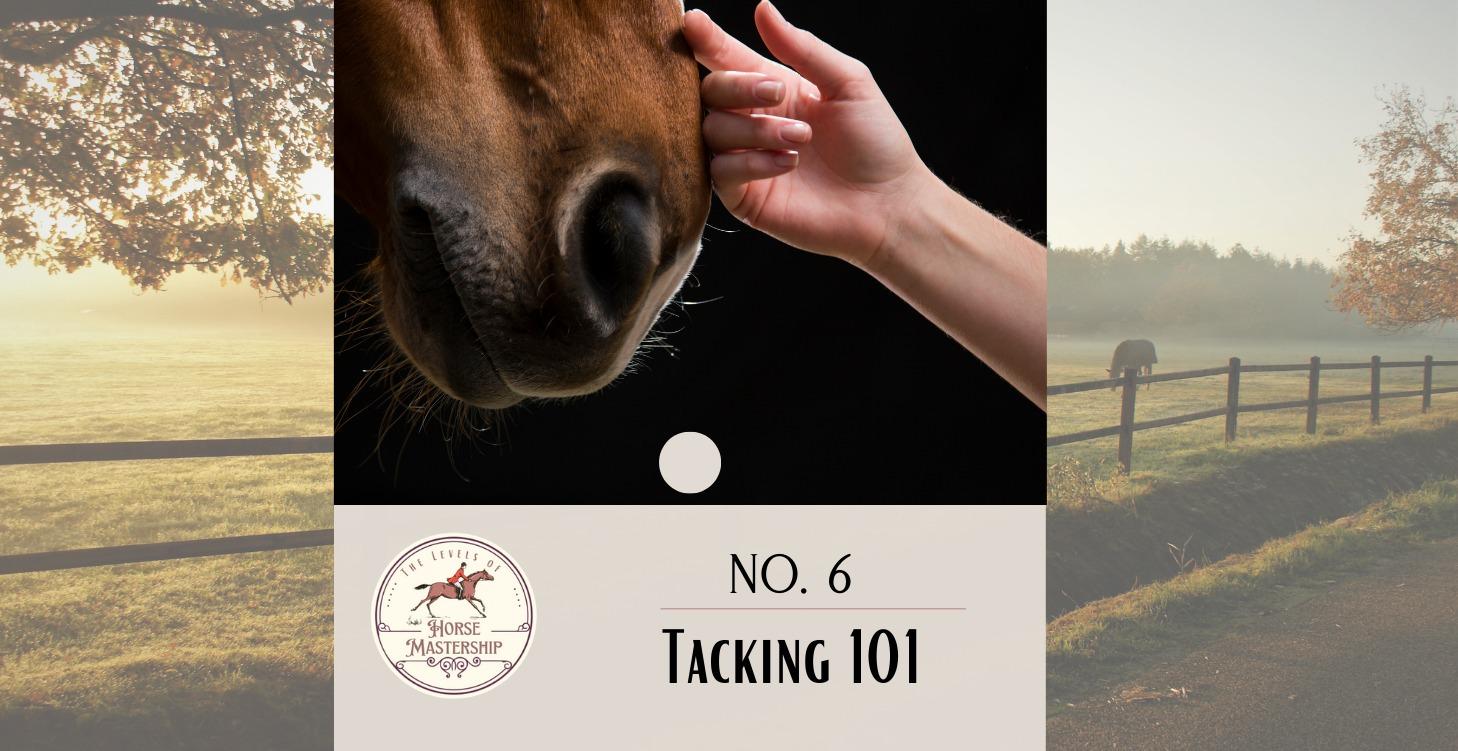 No. 6- Tacking 101