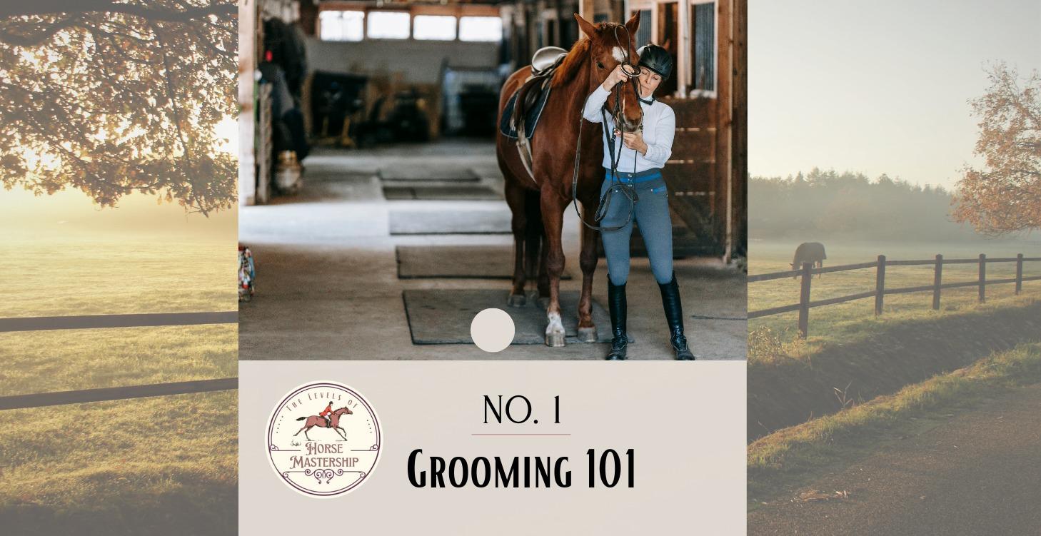 No. 1- Grooming 101