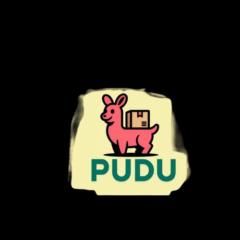 Pudu Store
