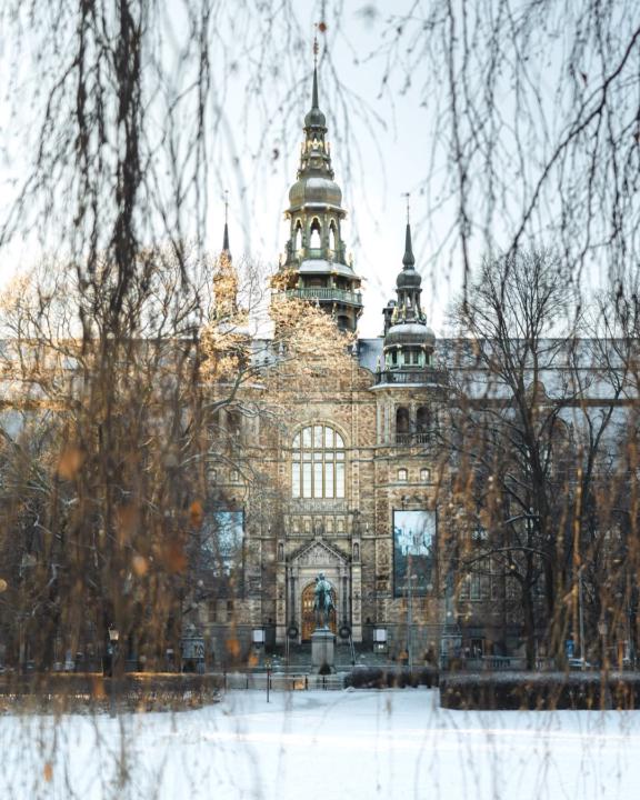 📢🇸🇪 SI Scholarship 2026/2027 – Applications Now Open!