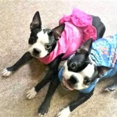 Olethia Smith-Harris