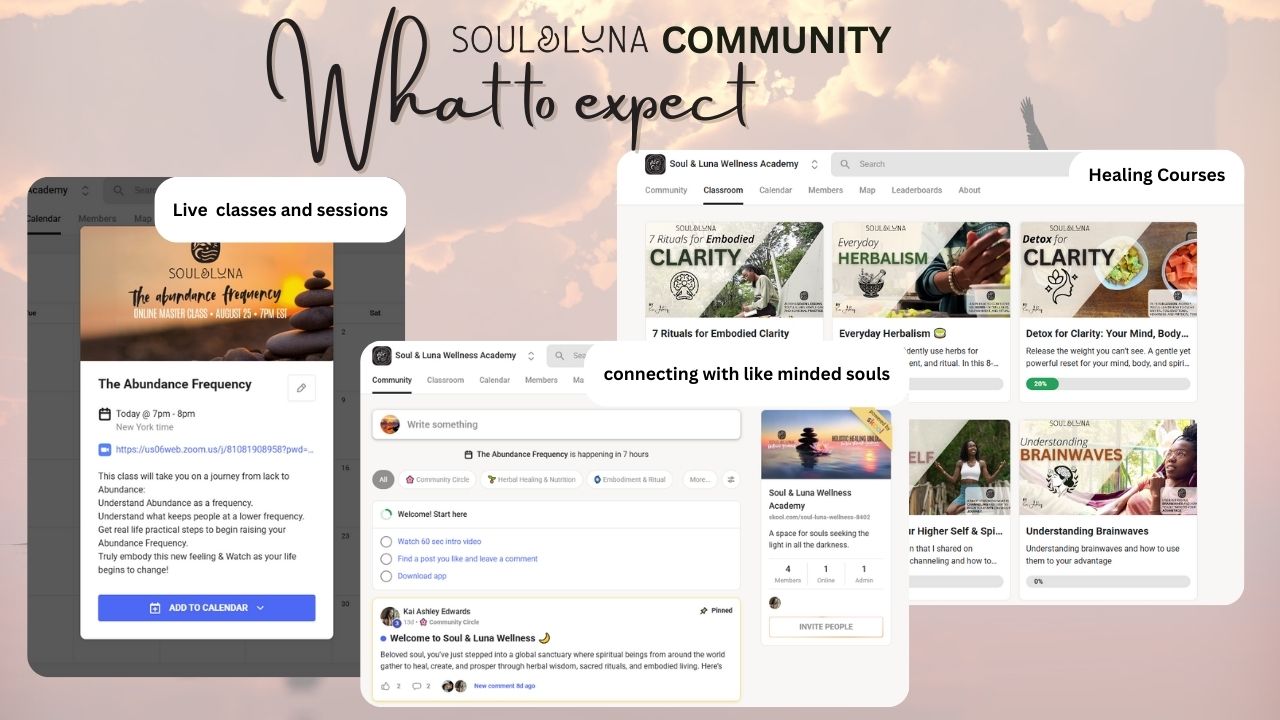 Soul & Luna Wellness Academy