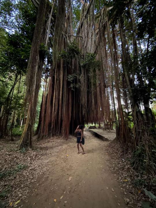 Happy New Year, beloveds ✨