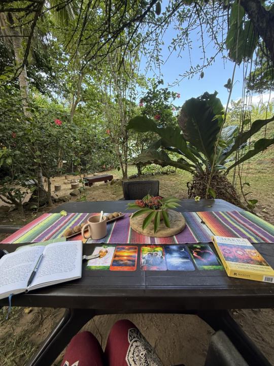 Life Updates!!! 🌺✨