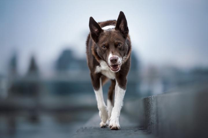 Christine Mussenbrock