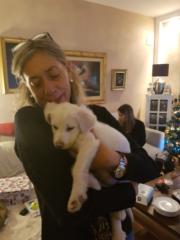 Maura Guaitoli