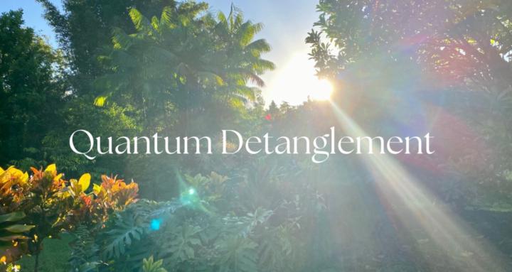 Quantum Detanglement